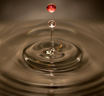 FONDAZIONE HED ALBIREO